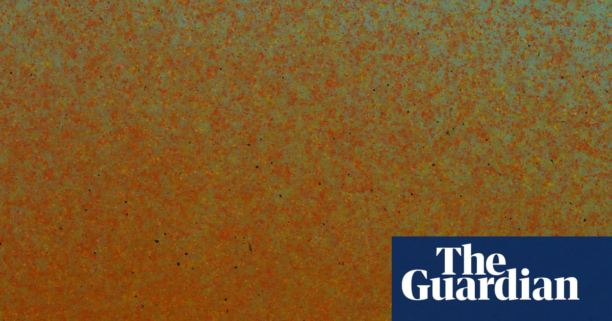 They digest externally': the artist who creates paintings with live flies