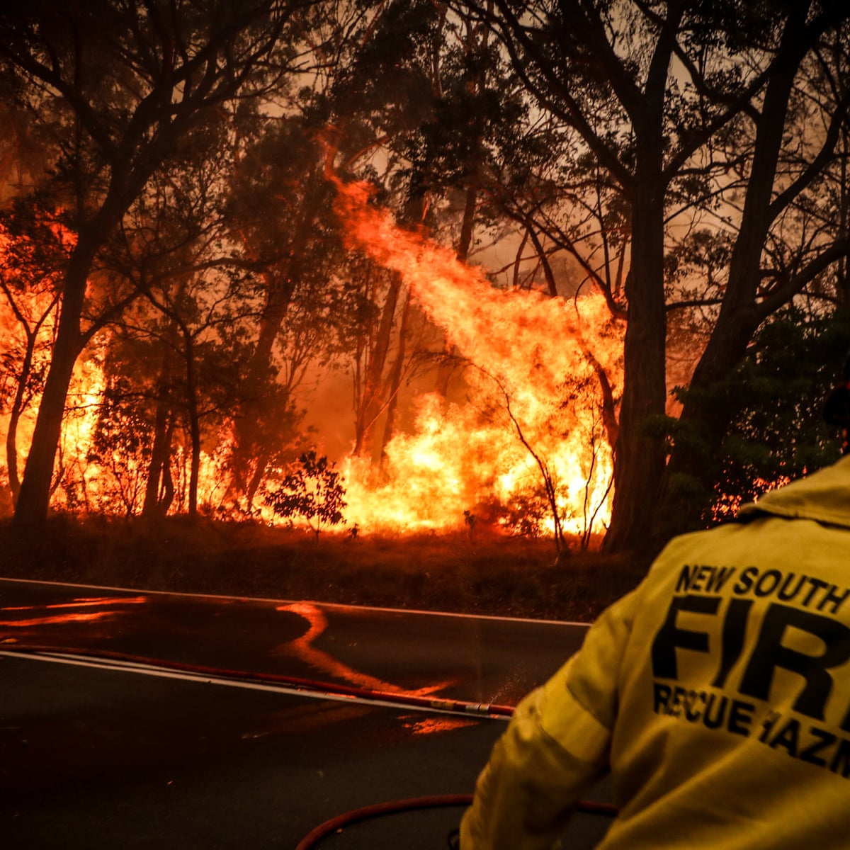Climate Scientists Warn That Australia S Bushfires Could Become The New Normal