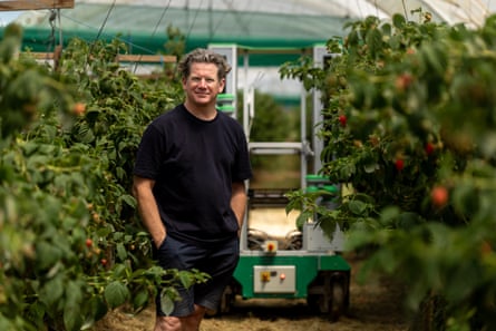 He stands smiling with the robot and raspberry plants