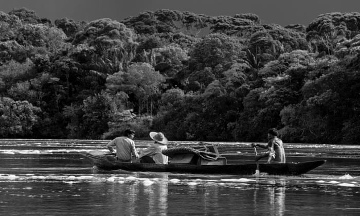 Image result for embrace of the serpent