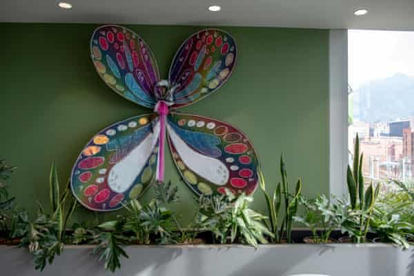 A pair of big butterfly wings on an office wall