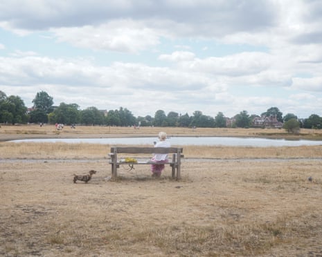 The scorched grass in Wimbledon Common turns yellow brown from the prolonged summer heatwave and during one of the longest periods without water in 30 years and hosepipe bans are in place across large parts on England.