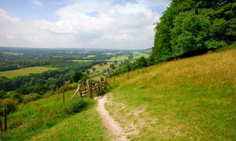 A path across the North Downs, near Dorking, Surrey.