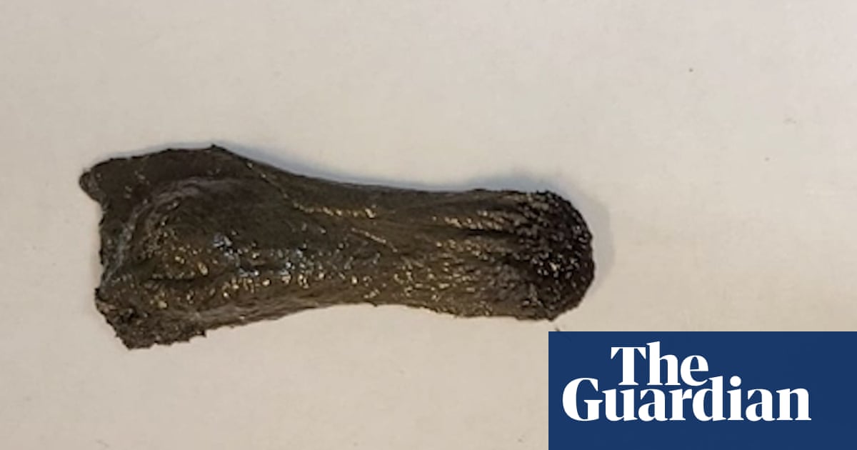 ‘Magnetic turd’: scientists invent moving slime that could be used in human digestive systems