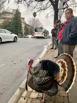 Gerald pictured standing in line with carpoolers in Oakland, in the days before his behavior turned aggressive.