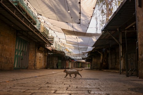 A cat crosses an empty shopping street in the occupied West Bank city of Hebron