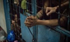 More than 130 prisoners escape in Philippines after gunmen storm jail