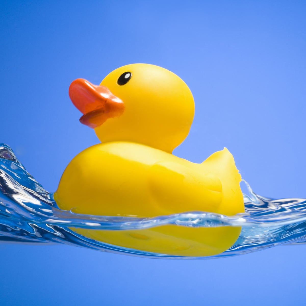 Rubber Ducky Duck