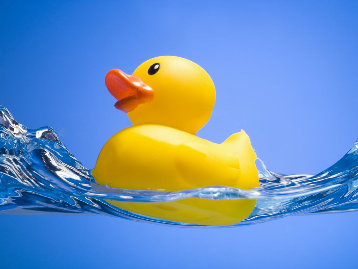 Danger: a mucky rubber ducky is a haven for bacteria, says study