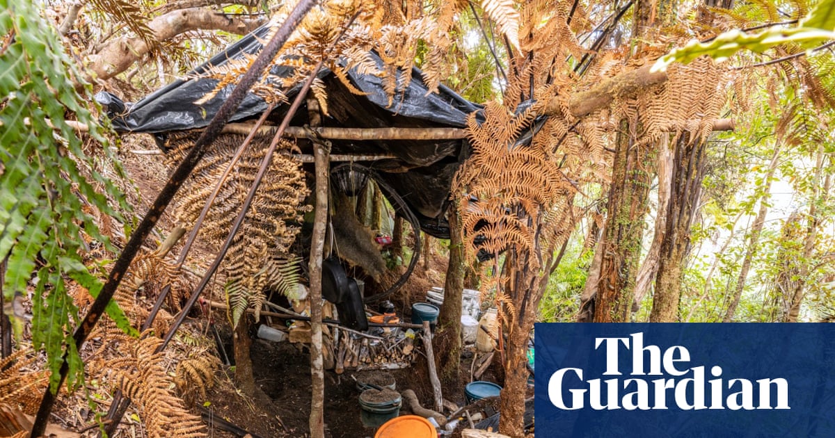 Tom Phillips case: New Zealand to hold public inquiry into disappearance of fugitive father and children