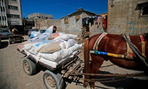 A Palestinian man loads a horse-drawn cart with food aid provided by the UNRWA in Gaza 5760.jpg?width=300&quality=85&auto=forma