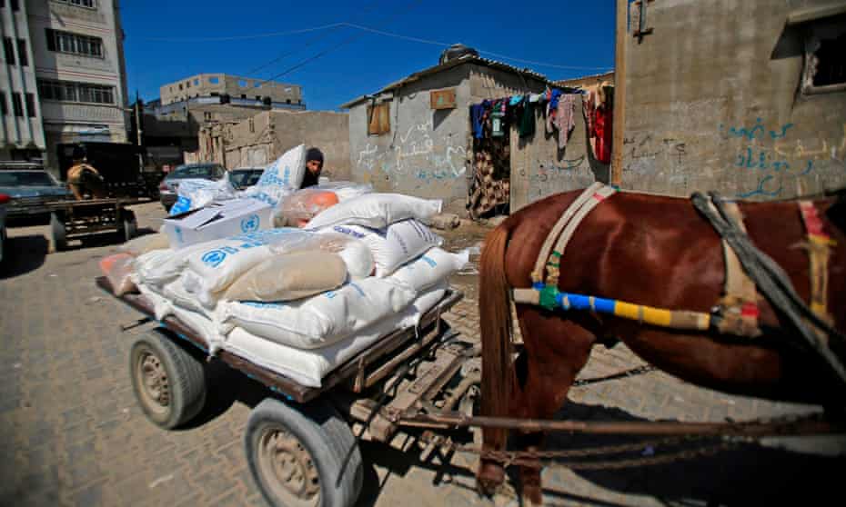 A Palestinian man loads a horse-drawn cart with food aid provided by the UNRWA in Gaza