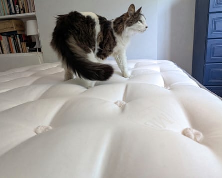 Millbrook Wool Luxury 4000 mattress