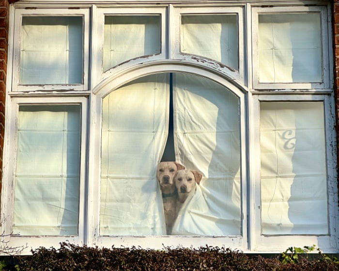 Image accompanying the story: ‘They looked like two curtain-twitchers, though not very subtle ones’: Peter Crome’s best phone picture