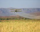 EU chemical firms plan to export rising quantities of ‘toxic’ pesticides, documents show