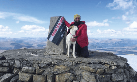 Dog on mound of stones