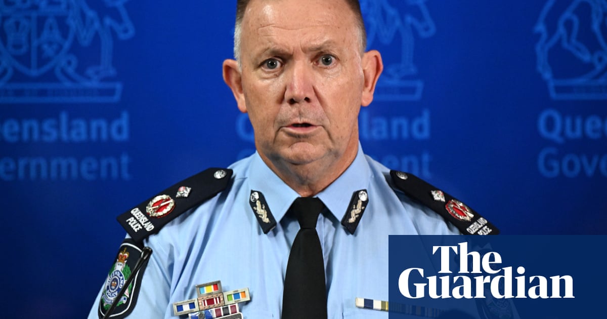 Domestic violence case management not ‘core business’ of police, Queensland’s top cop says