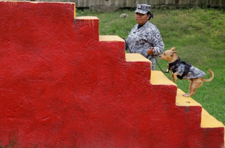Woman in fatigues leads small dog up bright red and yellow cement stairway.