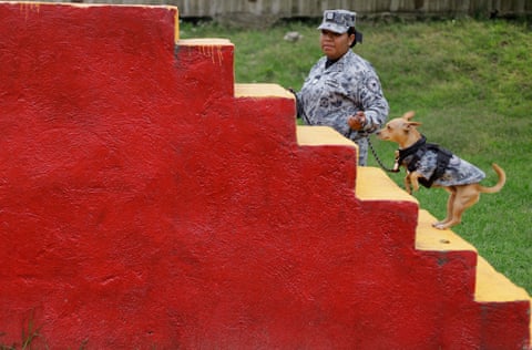 Woman in fatigues leads small dog up bright red and yellow cement stairway.