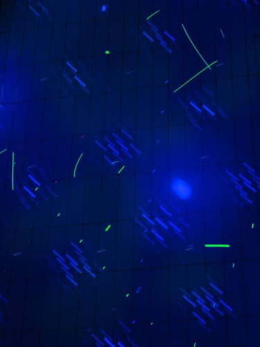 Projection 5, Hong Kong, 2019