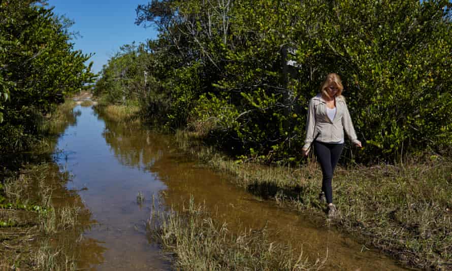 University of South Florida research Haley Hanson walks along a flooded road looking for invasive species.