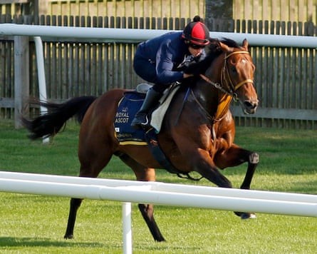 Satono Reve at Newmarket earlier this month