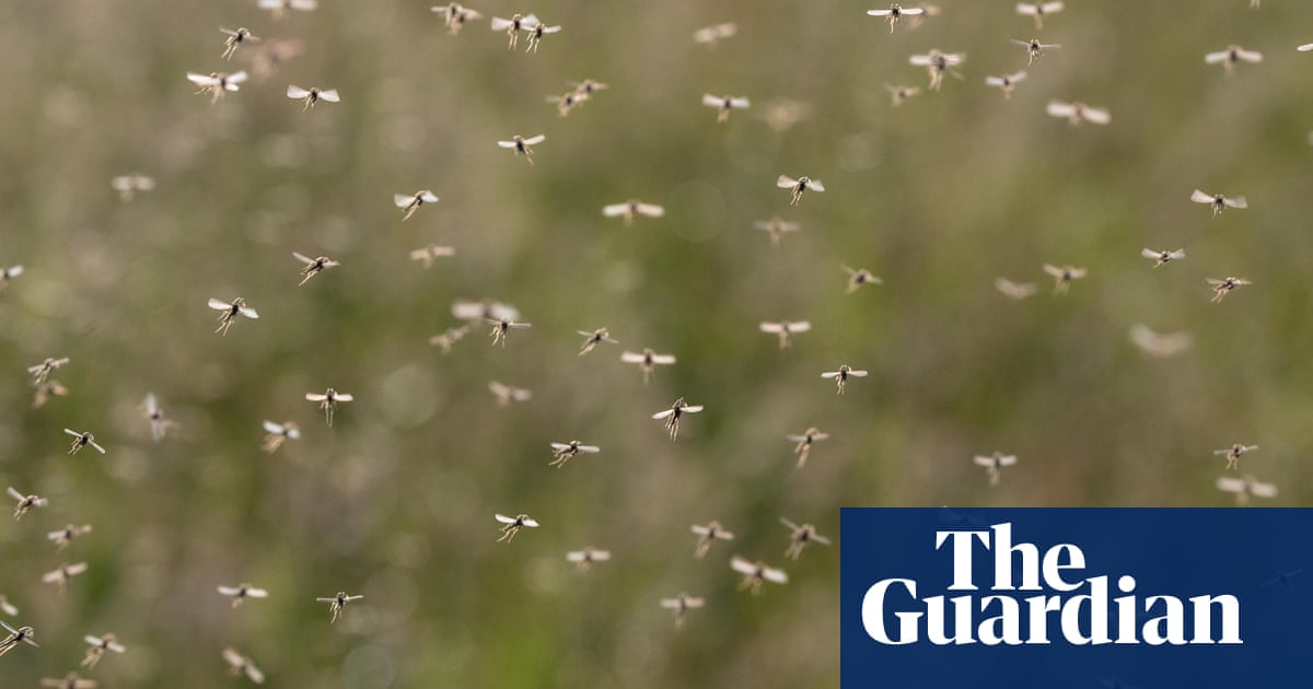 West Nile virus detected in UK mosquitoes for first time