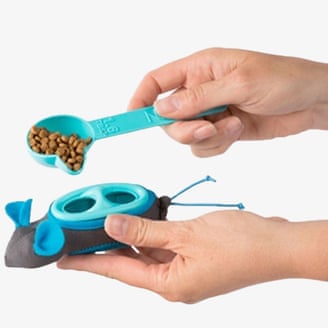 Your indoor cat is bored. Here are toys and tools to fix that | cats 1000