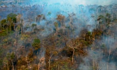 Smoke billows from a part of the Amazon rainforest reserve north of Sinop