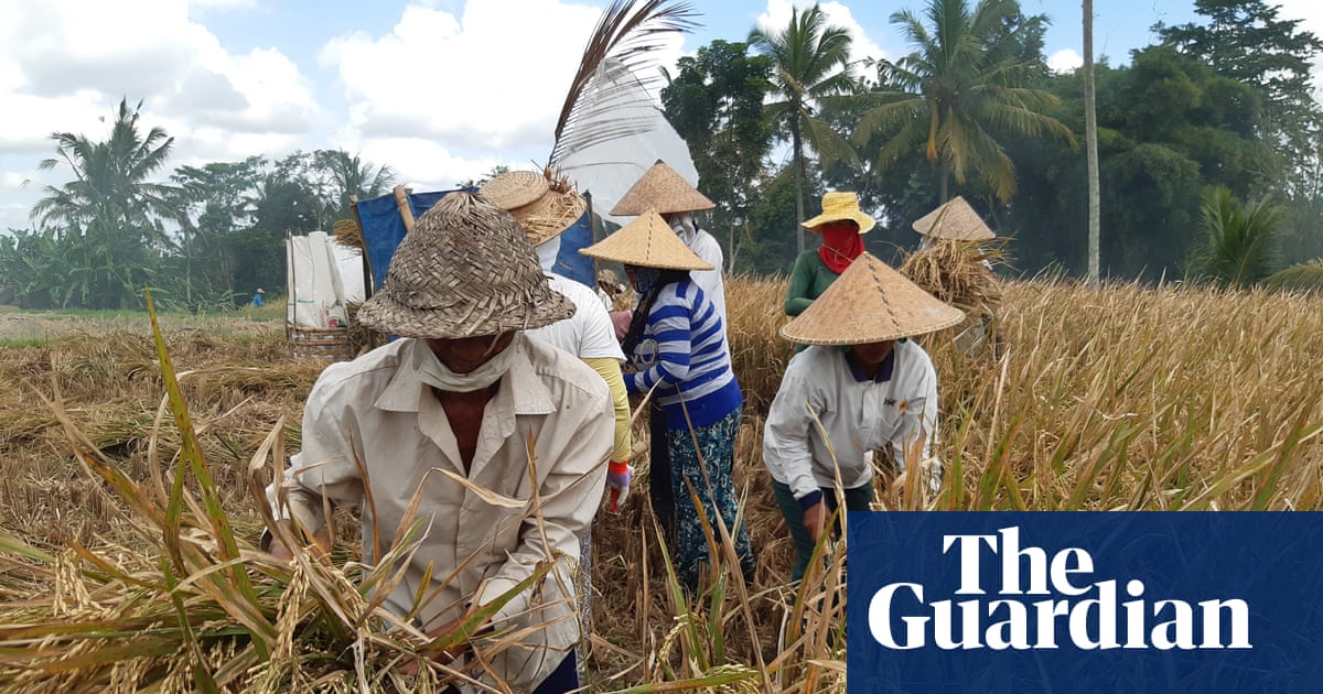 Bali is not only about tourism Covid 19 prompts rethink Bali is not only about tourism Covid 19 prompts rethink