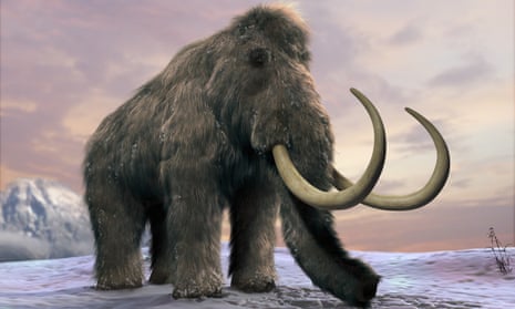 woolly mammoth