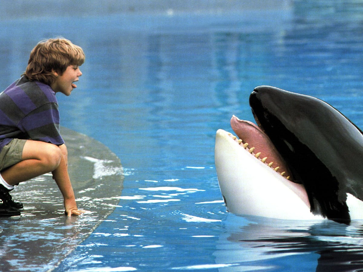 We used a rocket-launcher for his leap to freedom!' How we made Free Willy | Movies | The Guardian