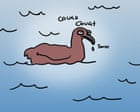 Bird flu?! Seriously? Can somebody tell this virus it’s really not a good time | First Dog on the Moon