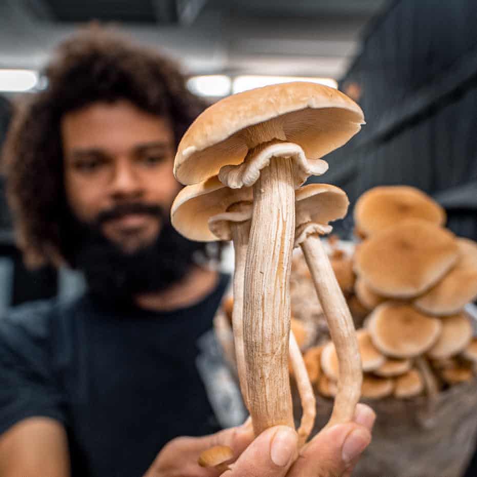 Michael Crowe holding the mushrooms he grew.