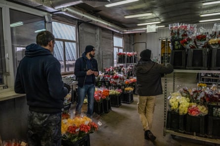 Once the flowers are picked and sorted they are stored in a cooling hall where wholesale buyers can inspect and buy the flowers, alternatively they are brought to one of the company’s shops throughout the country.