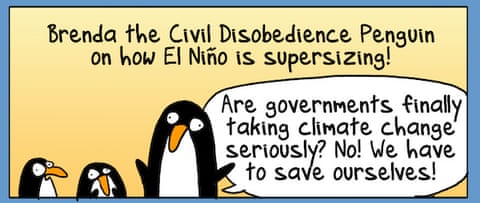 El Nino stock piling, panel 1