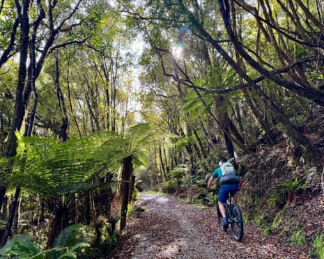 Tracey’s partner Paul Croke cycles uphill through Kawhaka Forest on day three of a four-day trip.