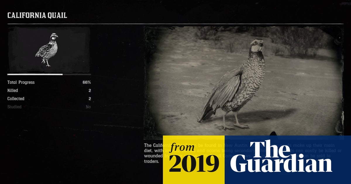 What is an Exotic Bird in Rdr2: Ultimate Guide to Rare Birds