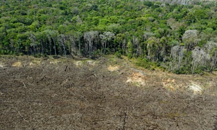 A deforested area close to Sinop, in Mato Grosso state, Brazil.