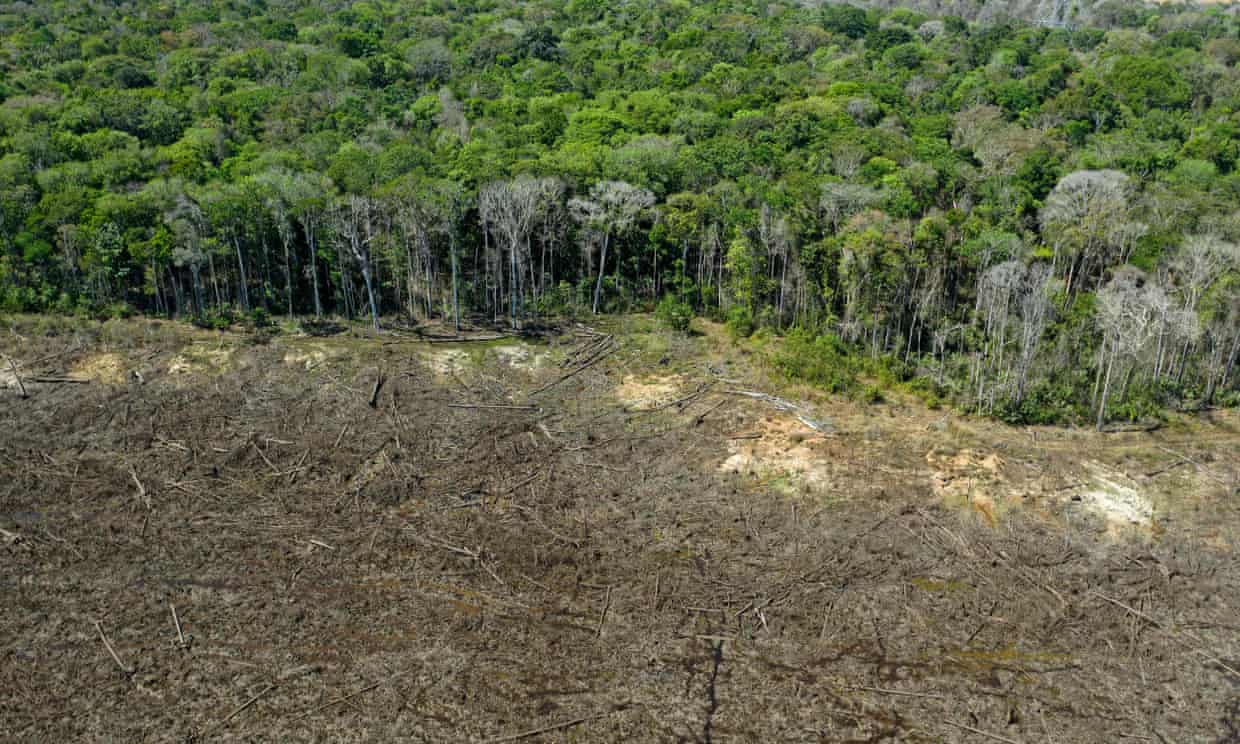 Deforestation emissions far higher than previously thought Deforestation emissions far higher than previously thought
