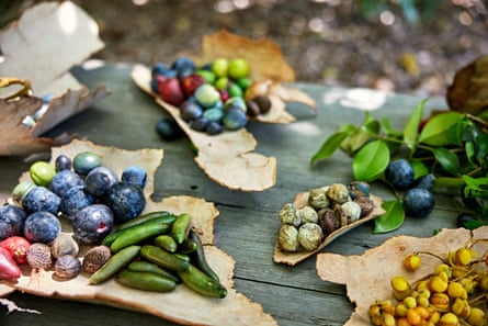 Arrangement of Aboriginal bush food on outdoor table