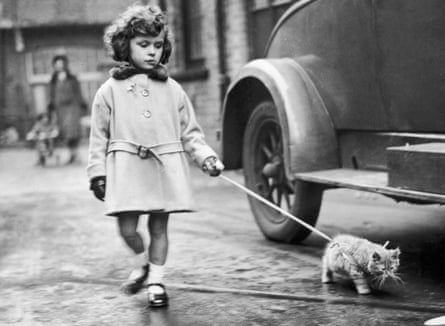 A young competitor at the National Cat Club show in Crystal Palace, 1931