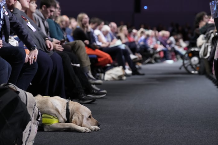A guide dog in the hall as attendees listen to Rachel Reeves' speech.