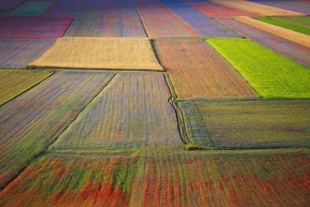 A beautiful, colourful patchwork of fields.