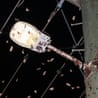 moth-map-thumb