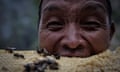 Tek Prasad Gurung, 64, takes a bite from freshly-harvested honeycomb during honey hunting