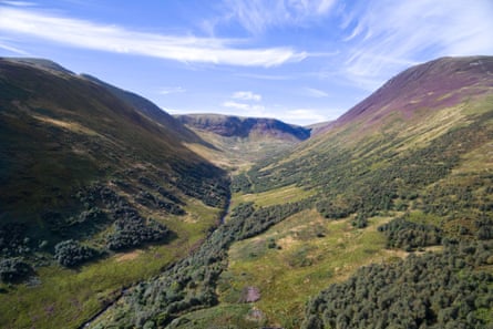 A semi forested valley in Scotland