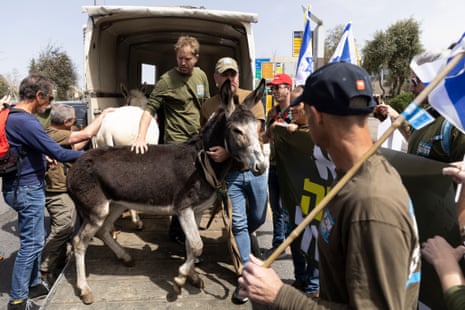 Protesters bring donkeys to a demonstration calling for equality in military service in Jerusalem.
