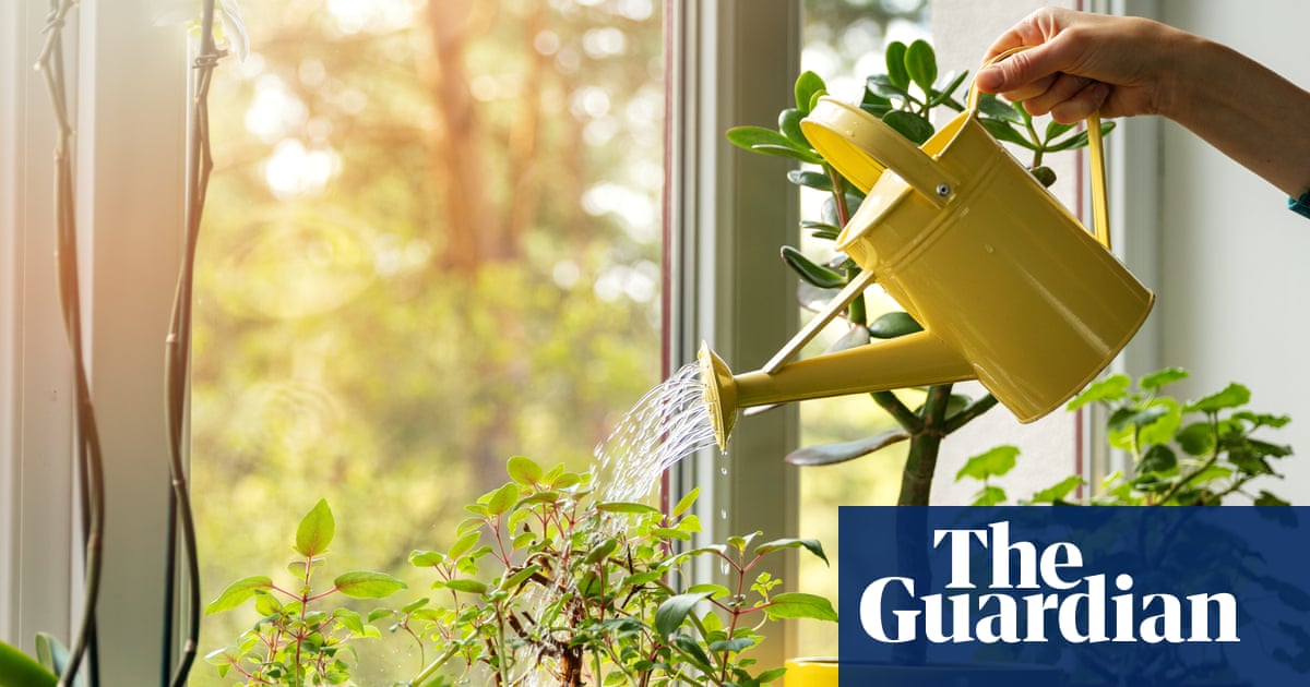 14 ways to keep your houseplants alive while you're on holiday (and how to revive them when you get back)