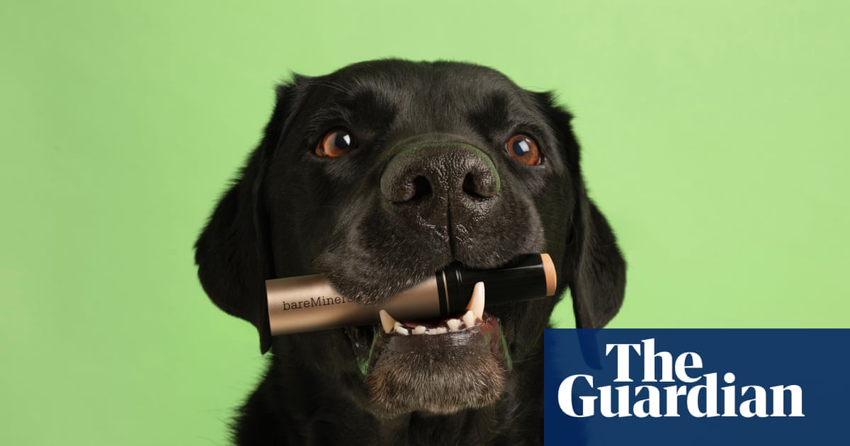 Sali Hughes on beauty: go fetch a foundation stick – they’re fuss-free, flexible and making a comeback